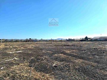 Se Venden Parcelas con rol propio de 5.000 m2 app, Pasaje La Constancia, a la altura paradero 6, San Pedro, comuna de Quillota.