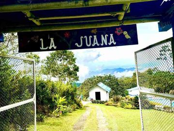 VENTA DE FINCA CAMPESTRE --CORREGIMIENTO BORRERO AYARBE DAGUA VALLE DEL CAUCA