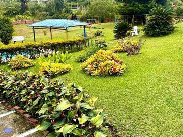 VENTA DE FINCA CAMPESTRE --CORREGIMIENTO BORRERO AYARBE DAGUA VALLE DEL CAUCA