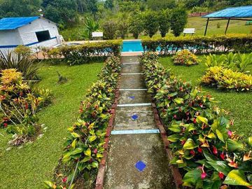 VENTA DE FINCA CAMPESTRE --CORREGIMIENTO BORRERO AYARBE DAGUA VALLE DEL CAUCA