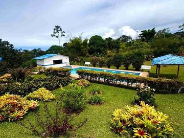 VENTA DE FINCA CAMPESTRE --CORREGIMIENTO BORRERO AYARBE DAGUA VALLE DEL CAUCA