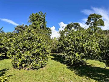SE VENDE CASA CAMPESTRE