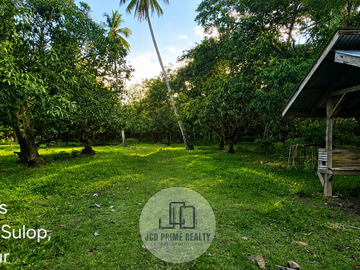 𝟱.𝟮𝟱 𝗵𝗲𝗰𝘁𝗮𝗿𝗲𝘀 𝗙𝗮𝗿𝗺 𝗟𝗼𝘁 𝗙𝗼𝗿 𝗦𝗮𝗹𝗲 𝗮𝘁 𝗦𝘂𝗹𝗼𝗽, 𝗗𝗮𝘃𝗮𝗼 𝗱𝗲𝗹 𝘀𝘂𝗿