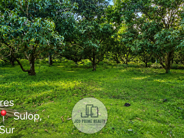 𝟱.𝟮𝟱 𝗵𝗲𝗰𝘁𝗮𝗿𝗲𝘀 𝗙𝗮𝗿𝗺 𝗟𝗼𝘁 𝗙𝗼𝗿 𝗦𝗮𝗹𝗲 𝗮𝘁 𝗦𝘂𝗹𝗼𝗽, 𝗗𝗮𝘃𝗮𝗼 𝗱𝗲𝗹 𝘀𝘂𝗿