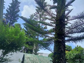 HOUSE AND LOT IN TAGAYTAY CITY