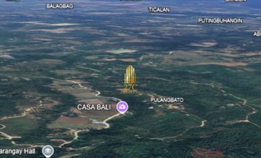 Ideal Land for Resort or Farm for Sale in San Juan, Batangas – 36,938 sqm