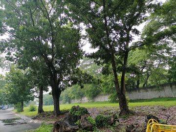 Easy to Own -1087Sqm Fairway Lot for sale Phase 2 of Manila Southwoods
