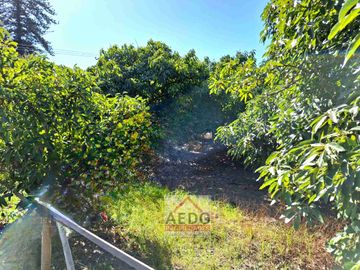 Se Vende Amplia y Linda Casa de un piso, aislada con Gran Terreno Residencial comuna de La Cruz