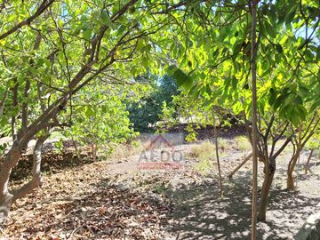 Se Vende Amplia y Linda Casa de un piso, aislada con Gran Terreno Residencial comuna de La Cruz