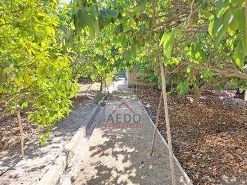 Se Vende Amplia y Linda Casa de un piso, aislada con Gran Terreno Residencial comuna de La Cruz