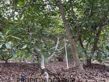 Se Vende Parcela Barrio Campestre La Cruz
