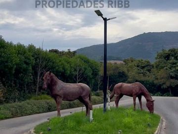 Se Vende Parcela Barrio Campestre La Cruz