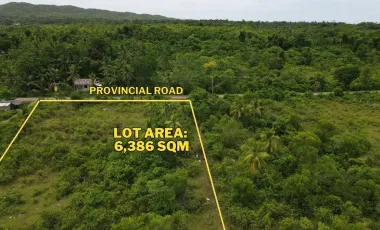 For Sale: 6,386 SQM Prime Lot in Consuelo, Camotes Island – Ideal for Resort or Commercial Use