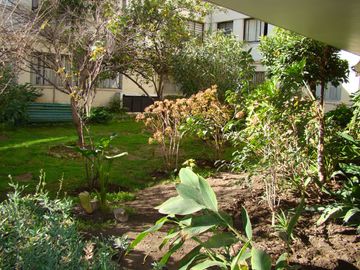 Ernesto Muzard - Av. Pedro De Valdivia