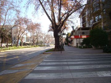 Ernesto Muzard - Av. Pedro De Valdivia