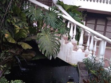 Brgy Asisan, Tagaytay 4641sqm with 2 structures, swimming pool and jacuzzi for sale