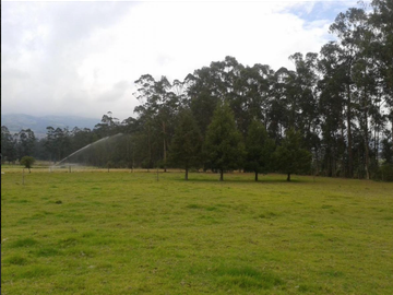 VENTA LOTES GUYLLABANBA QUINCHE