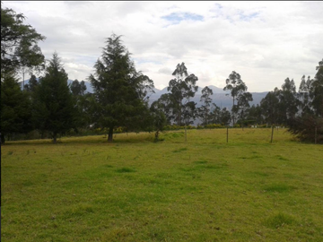 VENTA LOTES GUYLLABANBA QUINCHE