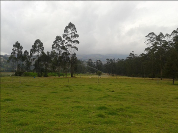 VENTA LOTES GUYLLABANBA QUINCHE