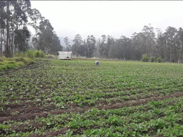 VENTA LOTES GUYLLABANBA QUINCHE