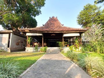 Rumah Estetik dan Natural dengan Joglo dan Kolam Renang di Maguwoharjo