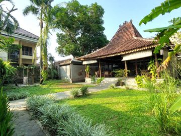 Rumah Estetik dan Natural dengan Joglo dan Kolam Renang di Maguwoharjo