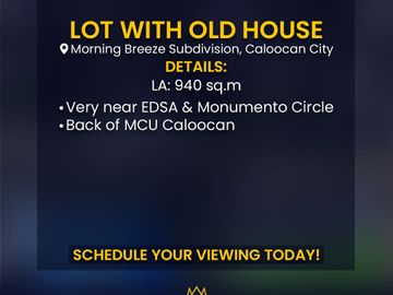 Lot with an old house in Morning Breeze Subdivision Caloocan City for Sale