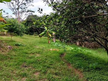 🏡 En Venta Casa de Campo en Comunidad  Quechua de Wayku -  Lamas,  Ideal para Turismo Vivencial con un Encanto Natural