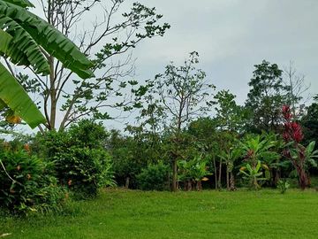 🏡 En Venta Casa de Campo en Comunidad  Quechua de Wayku -  Lamas,  Ideal para Turismo Vivencial con un Encanto Natural