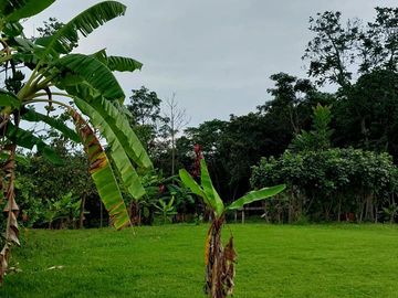 🏡 En Venta Casa de Campo en Comunidad  Quechua de Wayku -  Lamas,  Ideal para Turismo Vivencial con un Encanto Natural