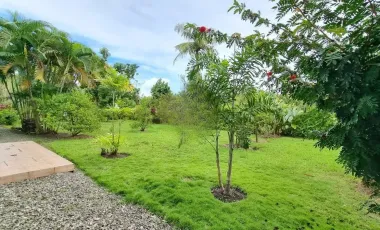 Spanish-Style Bungalow for Sale in Talisay City – Huge Lot Near SRP