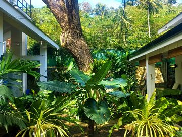 Modern Farmhouse _ House & Lot FOR SALE