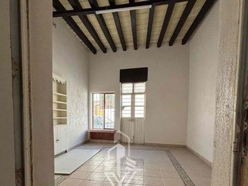 casa zona centro Irapuato
