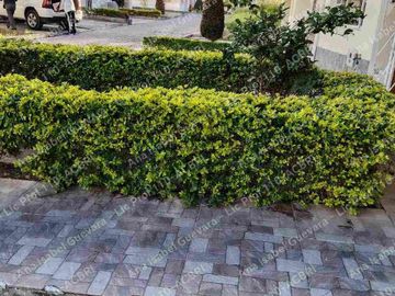 Venta de casa moderna amoblada en Conjunto cerrado