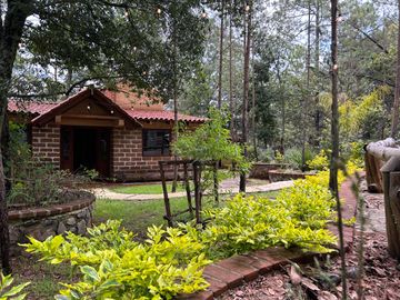 Cabaña en Venta en Quinta Andrea, Huasca de Ocampo, Hidalgo.