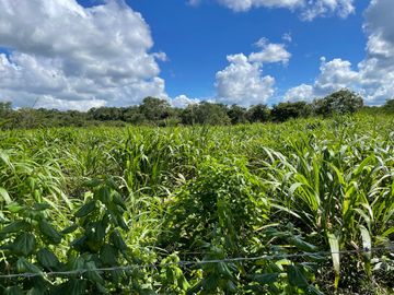 Rancho en venta en Santa Rosa