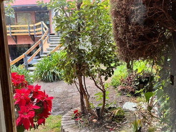VIVE ENTRE LA SERENIDAD DEL BOSQUE Y EL LUJO NATURAL EN LOMAS ANÁHUAC