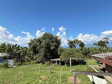 Se vende finca pequeña en plátano Armenia vía La Tebaida