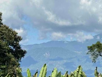 Se vende finca pequeña en plátano Armenia vía La Tebaida