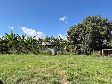 Se vende finca pequeña en plátano Armenia vía La Tebaida