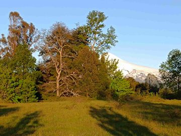 Parcelas con vista al volcán Villarrica