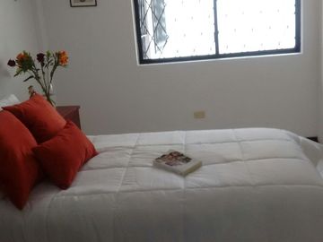 DEPARTMENTO EN RENTA PRIMERA PLANTA 230 M2