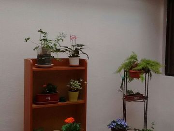DEPARTMENTO EN RENTA PRIMERA PLANTA 230 M2