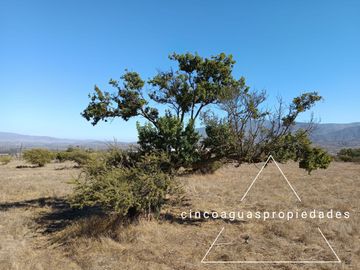 Parcela con maravillosa vista y con un gran precio en Catapilco, Zapallar
