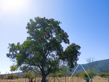 Parcela con maravillosa vista y con un gran precio en Catapilco, Zapallar