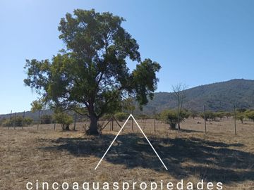 Parcela con maravillosa vista y con un gran precio en Catapilco, Zapallar