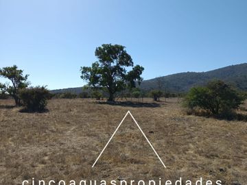 Parcela con maravillosa vista y con un gran precio en Catapilco, Zapallar