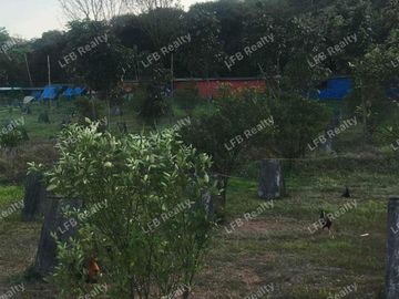 Commercial Lot in Tanay along Marilaque Highway For Sale