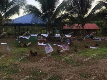 Commercial Lot in Tanay along Marilaque Highway For Sale