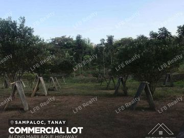 Commercial Lot in Tanay along Marilaque Highway For Sale